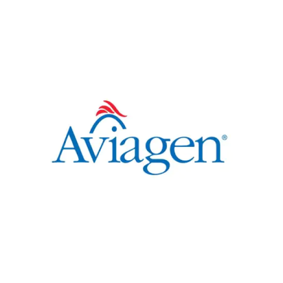logo 6
